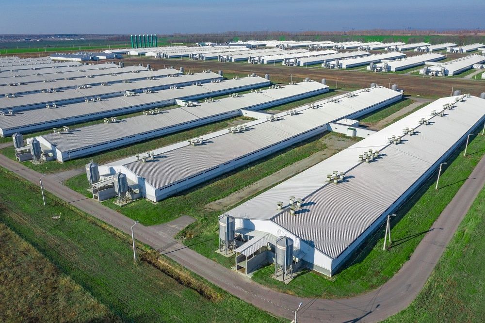 Бизнес, Предприятия Томска и области, Сибагро, Томские новости, Сибагро предприятия Томской области томские компании еда Компания «Сибагро» купила активы «ПРОМАГРО»