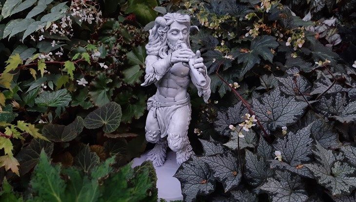 ТГУ, Томские новости, ТГУ ботсад куда сходить феи В Ботсаду Томского госуниверситета поселились духи природы и китайский дракон