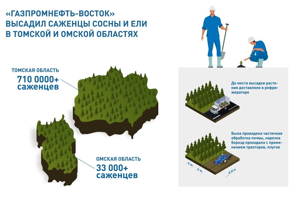 Газпромнефть-Восток, Томские новости, саженцы деревья высадили посадили рост озеленение спаси планету социально ответственный бизнес «Газпромнефть-Восток» высадил саженцы в Омской и Томской областях