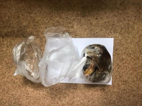 Криминал, Томские новости, гашиш полиция Кемерово задержали наркотики опий запрещенные вещества В Томске задержали кемеровчанина с 1,3 кг опия и гашиша