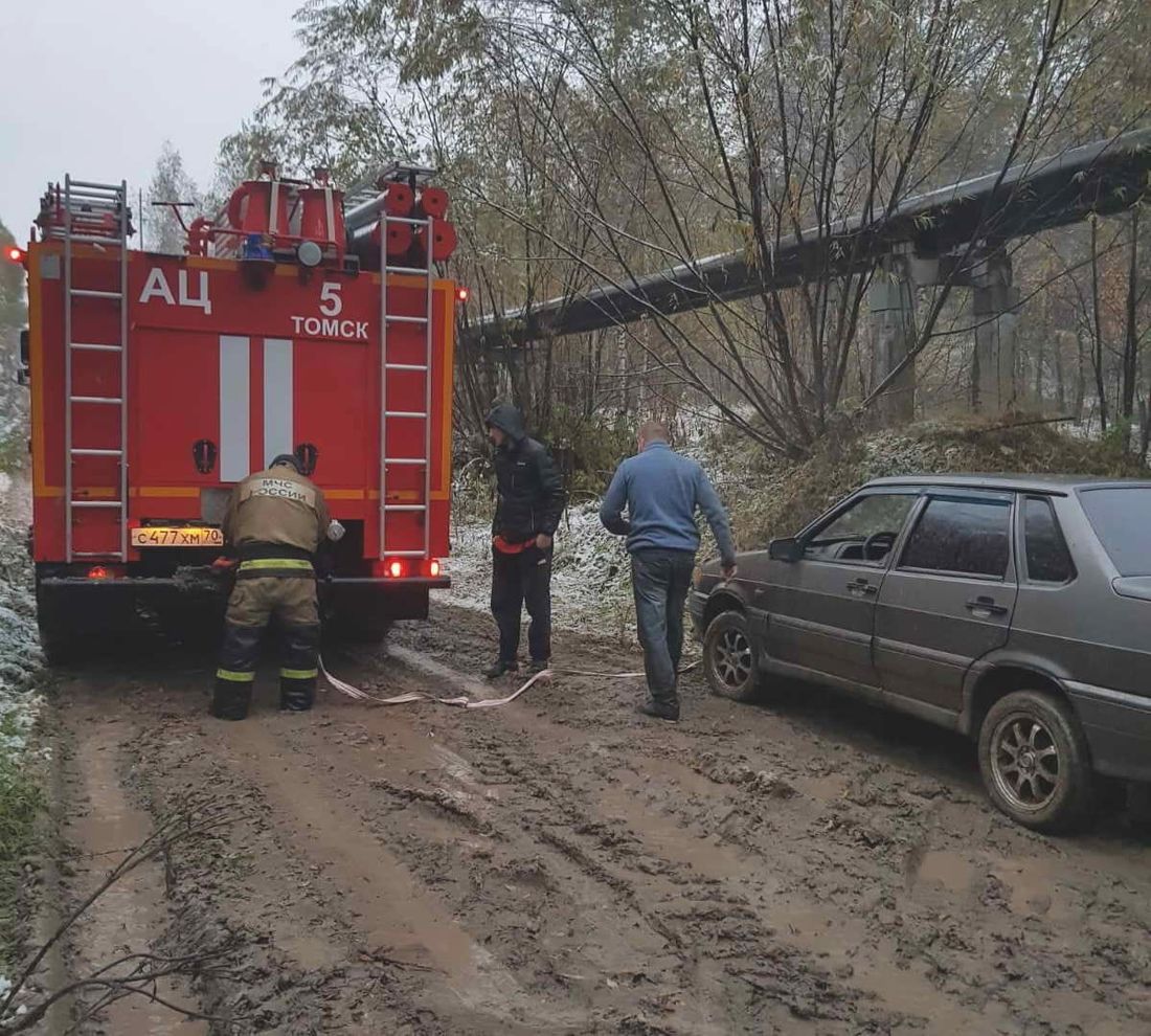 Происшествия, Томские новости, сурдоперевод застряли лес помощь заблудились жесть Томска сводка происшествий Сурдопереводчица помогла троим застрявшим в лесу глухонемым вызвать помощь