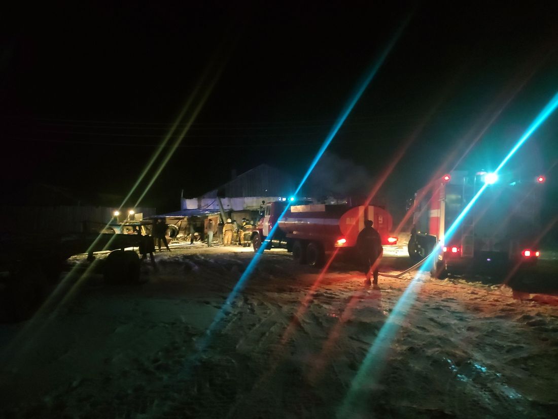 Происшествия, Томские новости, пожар горит огонь сводка происшествий жесть Томска огонь ферма животные Почти 40 лошадей спасли при пожаре на томской ферме