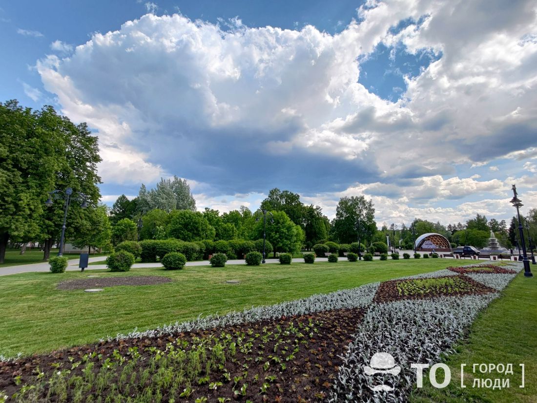 Городское благоустройство, Зелень в городе, Томские новости, благоустройство зелень томск новости интересное деревья В 2022 году на благоустройство и озеленение Томска будет выделено 270 млн рублей