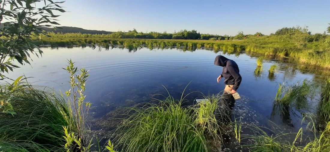Медицина и здоровье, Образование и наука, ТГУ, Томские новости, ТГУ образование болезни инфекция распространение гельминты Африка Томские ученые выяснят, как болезни из Африки попадают в Сибирь