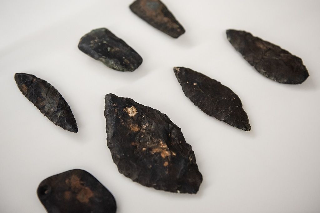 Образование и наука, ТГУ, Томские новости, Няша остров археология редкие предметы копать раскопки находки Обмелевшая Томь позволила томским археологам найти около 100 кг артефактов на острове Няша