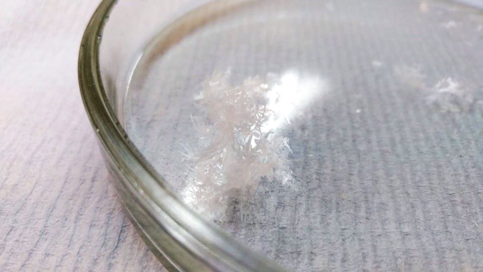 Образование и наука, Томские новости, ТПУ, ТПУ политех сырье пластик биоразлагаемый пластик ученые томская наука Томские ученые создали опытный образец реактора для получения биоразлагаемого пластика