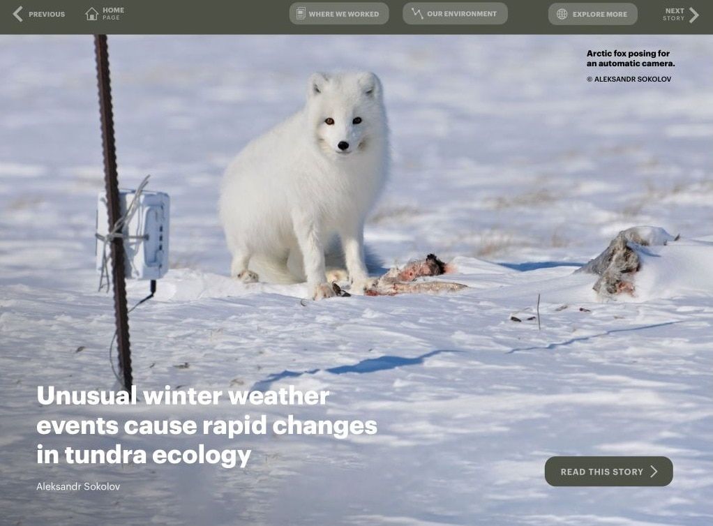 Образование и наука, ТГУ, Томские новости, образование ТГУ ученые наука арктика книги томская наука ТГУ помог в создании «живой» книги о работе ученых в Арктике