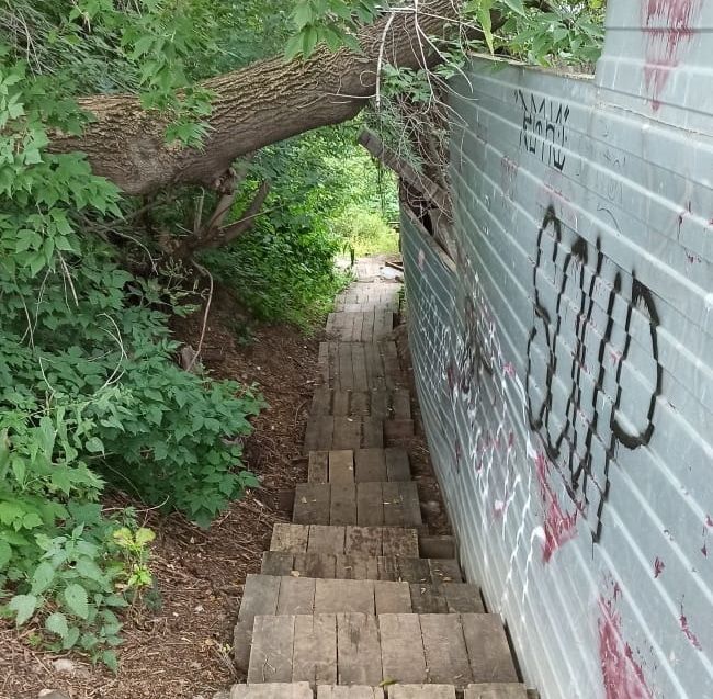 Городское благоустройство, Томские новости, спуск лестница Орловский город В Томске перекроют лестницу на спуске по пер. Орловскому