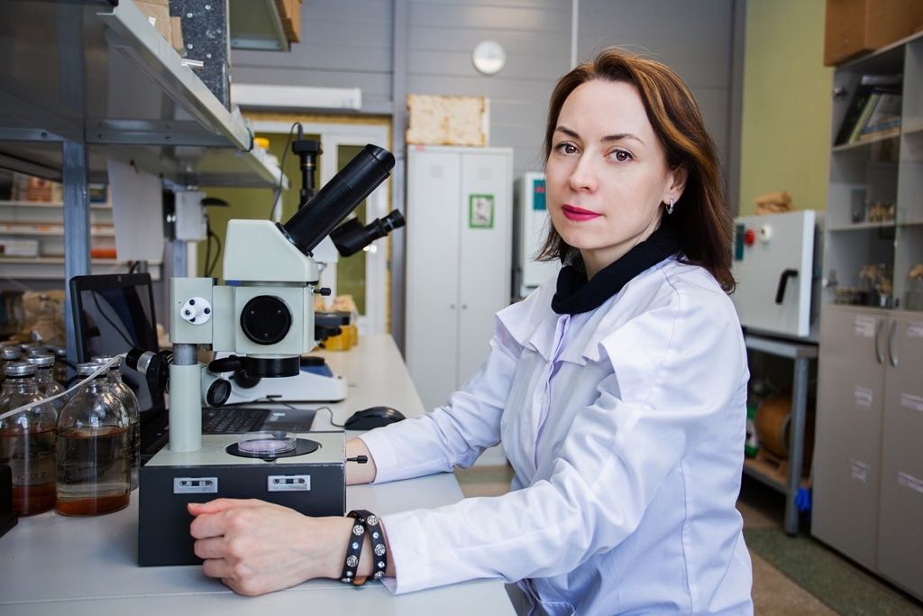 Образование и наука, ТГУ, Томские новости, анализ микроплпастик наука анализ загрязнение окружающей среды безопасность экологическая Томские ученые проанализировали количество микропластика в 10 реках РФ