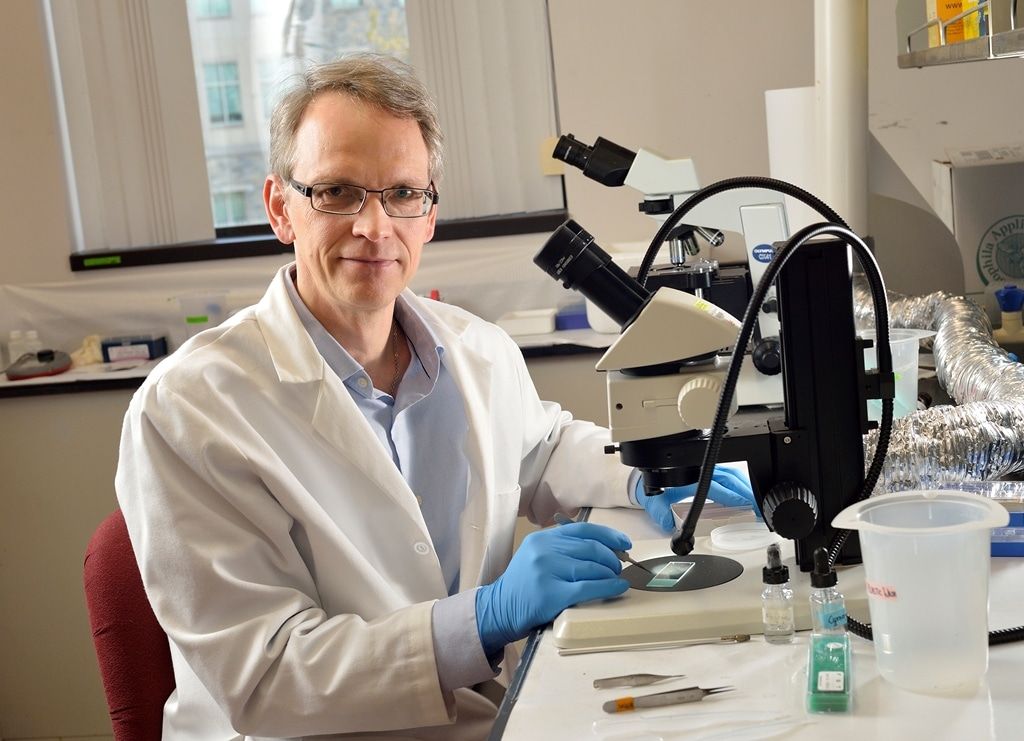 Образование и наука, ТГУ, Томские новости, комары малярия пандемия эпидемия ТГУ образование Томские ученые изучают малярийных комаров, чтобы прогнозировать новые эпидемии