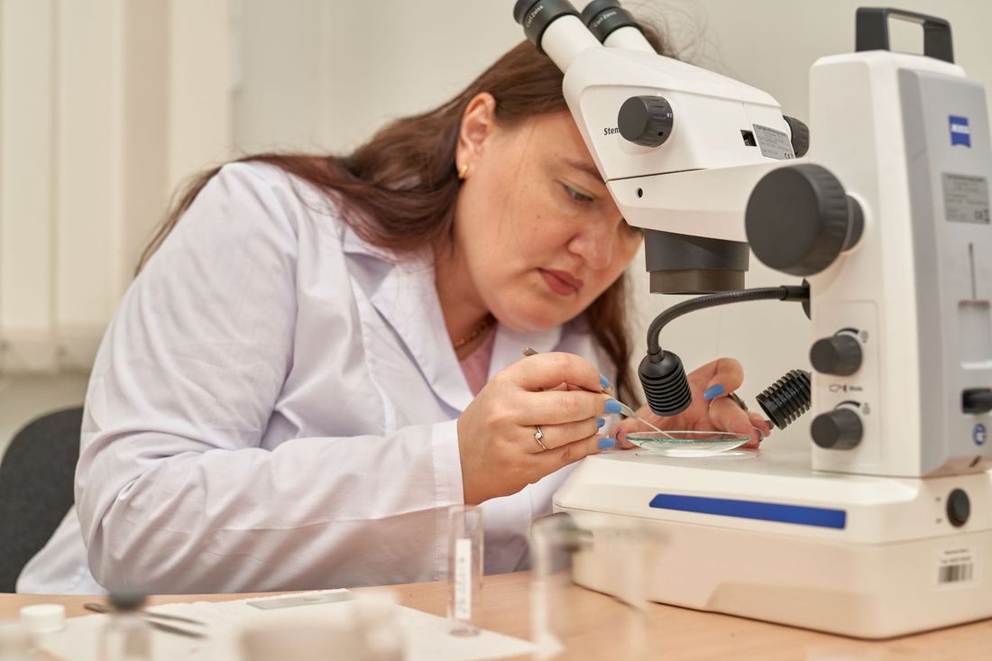 Образование и наука, ТГУ, Томские новости, ученые биологи паразиты клещи инфекция наука Томские ученые помогли найти на Кавказе новых паразитов