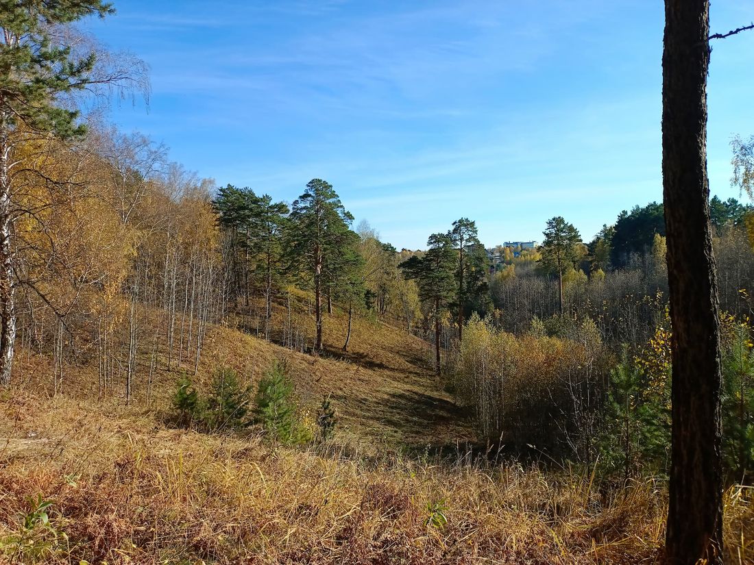 Городское благоустройство, Конкурсы и акции, Томские новости, звездный парк общественные пространства Томичи могут принять участие в благоустройстве парка «Звездный»