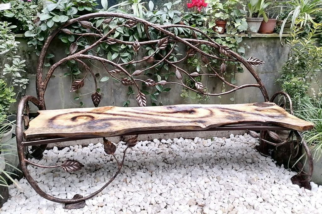 Зелень в городе, ТГУ, Томские новости, капитал пожертвования ботаничесий сад благоустройство отдых зелень В Ботсаду ТГУ появилась новая зона отдыха