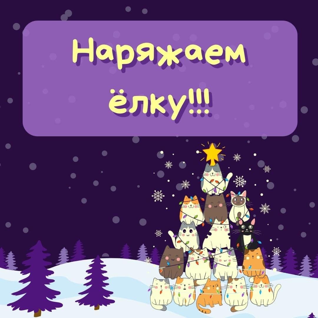 Конкурсы и акции, Новый год ❄, Томские новости, котокафе котики наряжают елку мероприятия куда сходить новый год праздники Томичей приглашают нарядить ёлку вместе с котиками