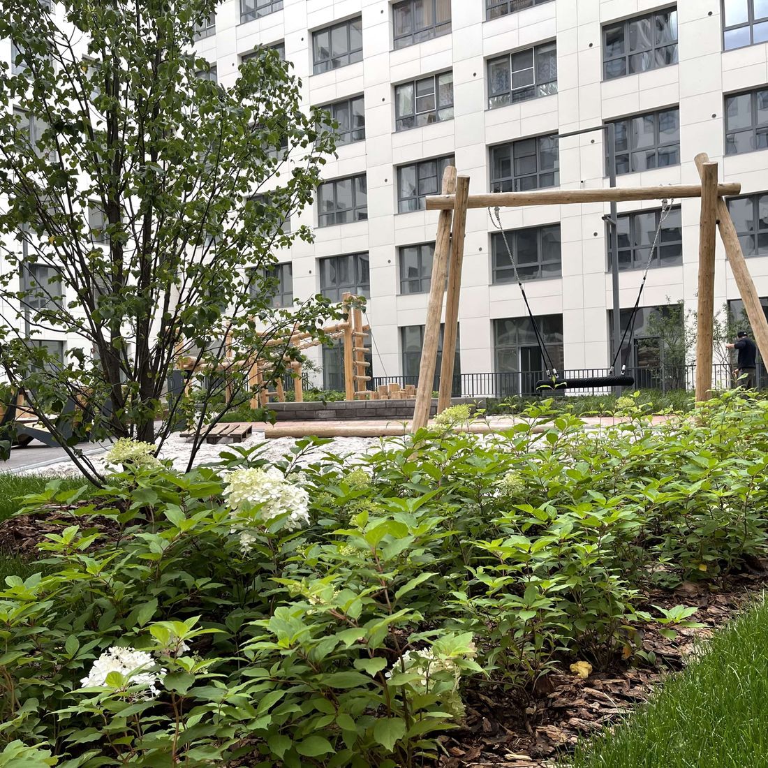 Происшествия, Томские новости, кража украли цветы похитили выкопали вандалы В Томске неизвестные украли высаженные цветы на 100 тыс. рублей