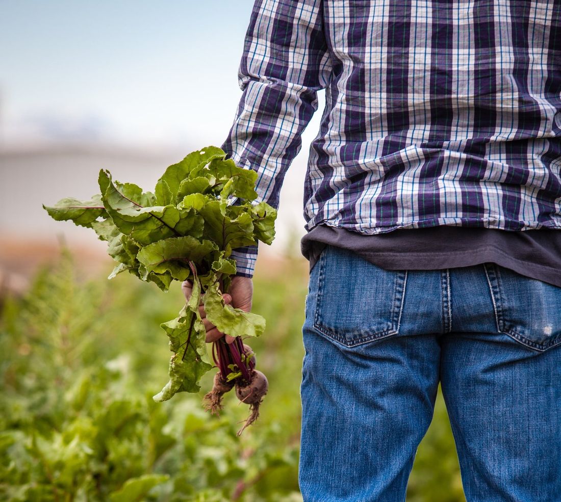 Образование и наука, Томские новости, агробизнес кадры пришкольный участки подсобное хозяйство образование вузы огороды сады Томских педагогов учат организации подсобного хозяйства на пришкольных участках