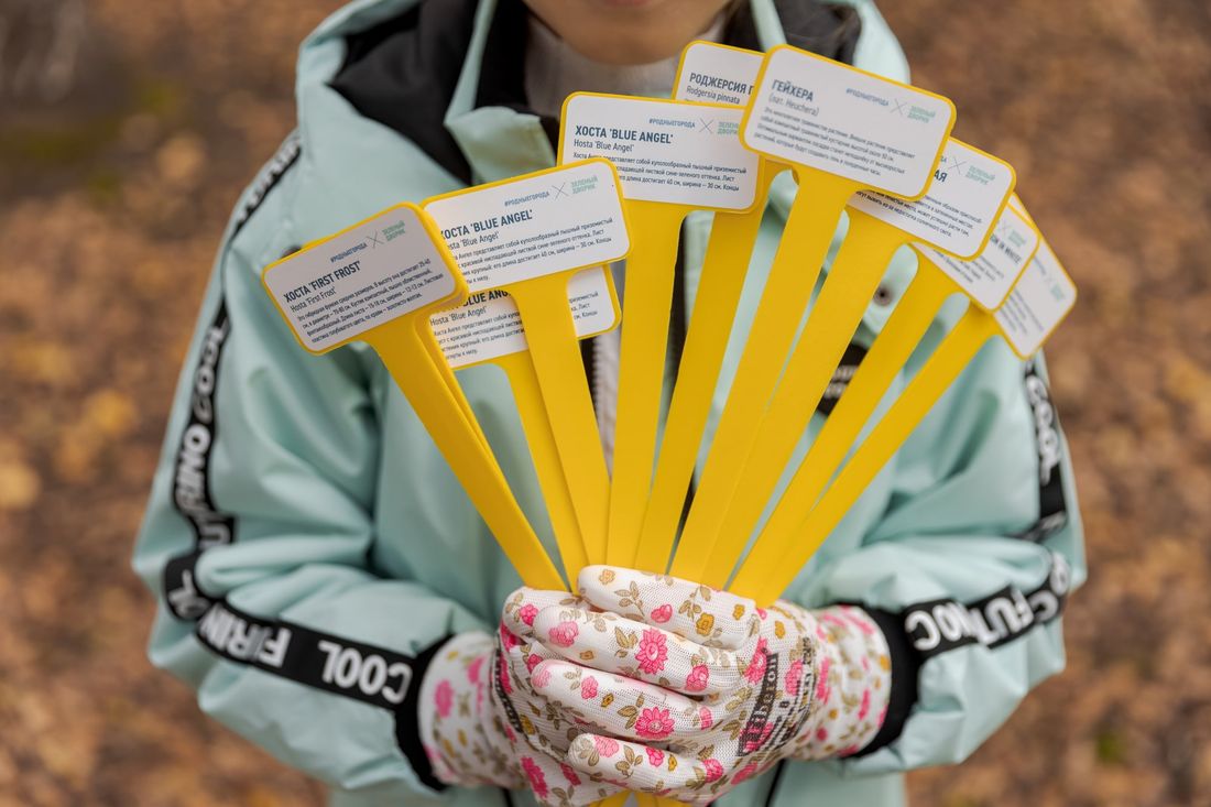 Газпромнефть-Восток, Томские новости, ботанический сад гимназия зелень высадка социальная сфера родные города Благодаря волонтерам «Газпромнефть-Востока» в прогимназии «Кристина» появился ботанический сад в миниатюре