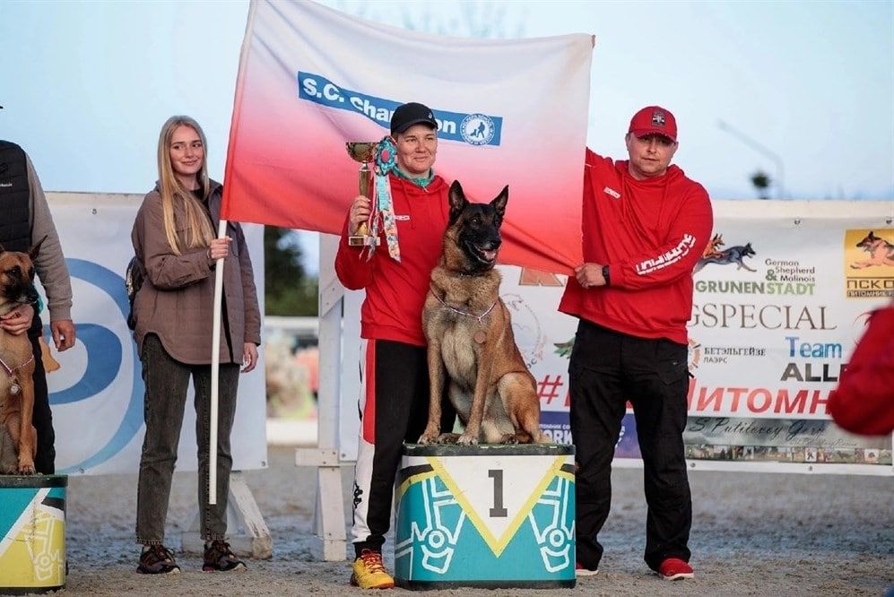 Спорт, Спорт в Томске, Томские новости, турнир соревнования состязания выиграли томский спорт кинологический спорт Томичка стала трехкратной чемпионкой России по международному кинологическому троеборью
