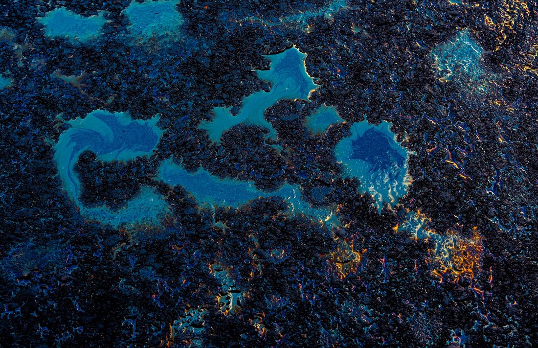 Томские новости, Экология, разлив нефть Обь нефтепродукты экологические происшествия загрязнение Около 100 литров нефти попало в Обь в Томской области