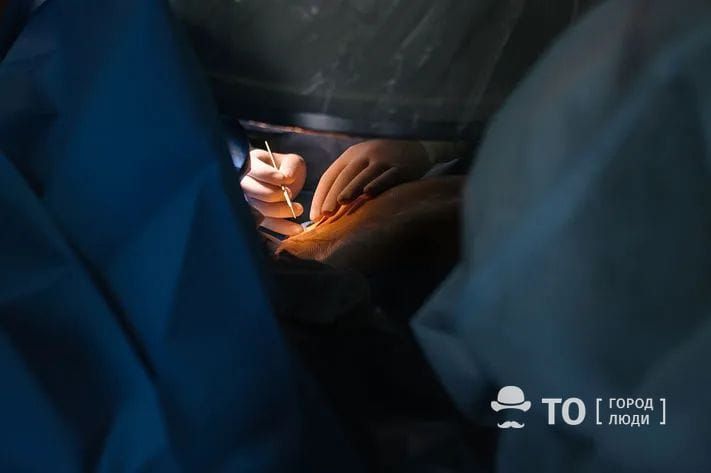 Медицина и здоровье, Томские новости, операции глаз опухоль чувствительность нервы лечение В Томске врачи вернули пациенту зрение, пересадив нерв с ноги