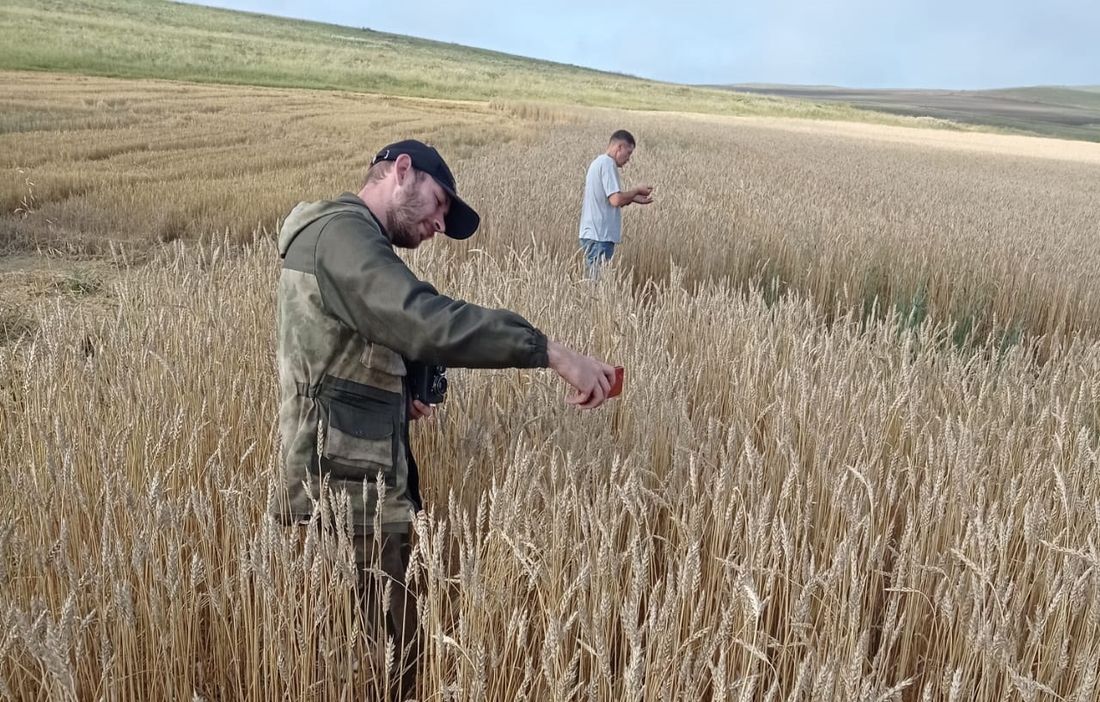 Образование и наука, ТГУ, Томские новости, снимки космос разработки томские ученые образование вузы плодородные почвы IT Томские ученые научили нейросеть определять типы почв и давать советы агрономам