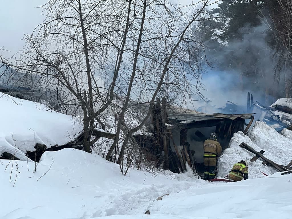 Происшествия, Томские новости, пожар горит огонь сводка происшествий жесть Томска пожарные спасение животных Томские пожарные спасли от огня кота и собаку