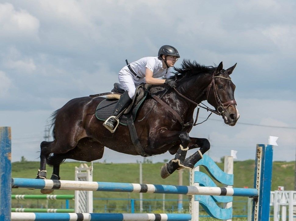Спорт, Спорт в Томске, Томские новости, спорт медали выиграли турнир выездка конкур соревнования кубок Сибири наездники Спортсменка из Томской области взяла две медали на первенстве Сибири по конному спорту