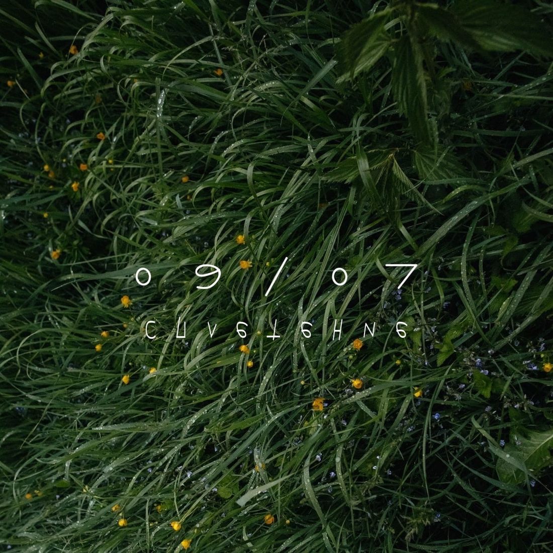 Культура в Томске, Отдых, Томские новости, отдых зен дзэн дженга бассейн мероприятия куда сходить Томичей приглашают на фестиваль «Сплетение» с гигантской «Дженгой», танцами и йогой