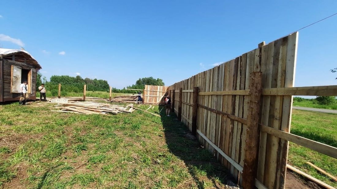 Благотворительность, Томские новости, постройка пункт передержки благотворительность постройка собаки бездомные животные Томичей призывают помочь в постройке пункта передержки для собак