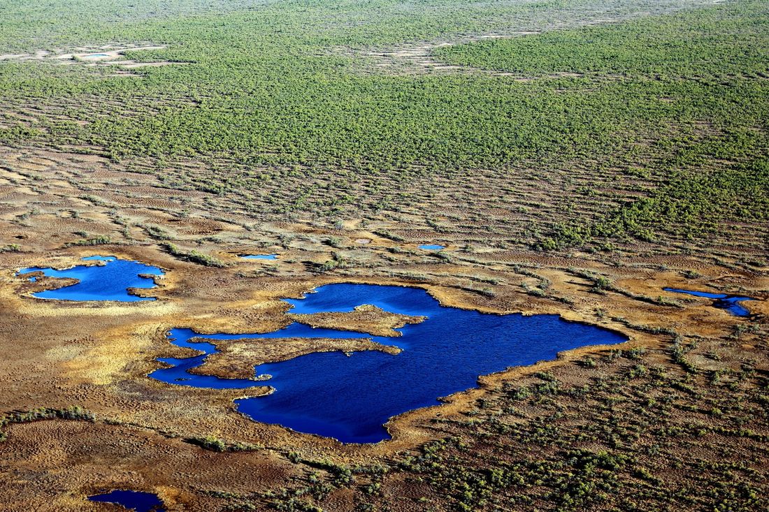 Томские новости, заповедник васюган болота интересные новости Томска охраняемые природные территории Заповеднику «Васюганский» исполнилось пять лет