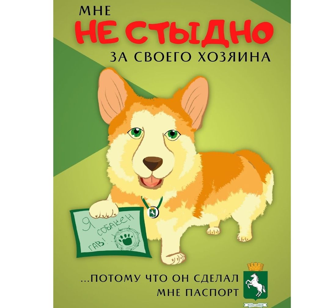 Конкурсы и акции, Томские новости, акция мероприятия марафон животные собаки хозяин собаководы Мэрия Томска запускает марафон «Не стыдно за своего хозяина»