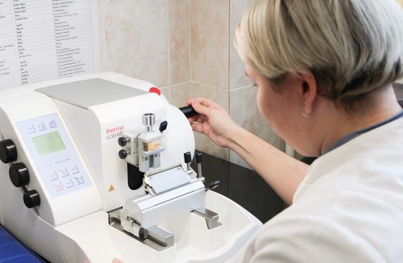 Медицина и здоровье, Образование и наука, Томские новости, костные имплантаты поддержка терапия приживление восстановление после операции Соссюрея спорная помогла томским ученым улучшить приживление костных имплантатов