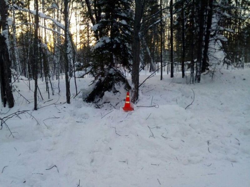 Происшествия, Томские новости, погиб авария ДТП столкнулись врезались сводка происшествий снегоход буран умер ski-doo ski doo Томск Водитель снегохода погиб в ДТП в Томском районе