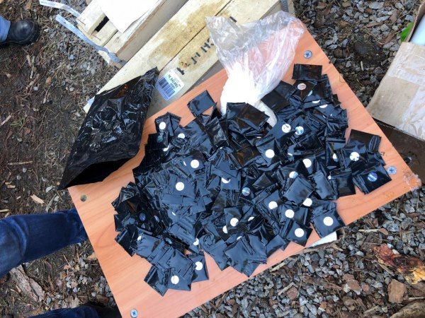 Криминал, Томские новости, наркотики запрещенные вещества госнанркоконтроль Томские полицейские изъяли более 13 кг наркотиков