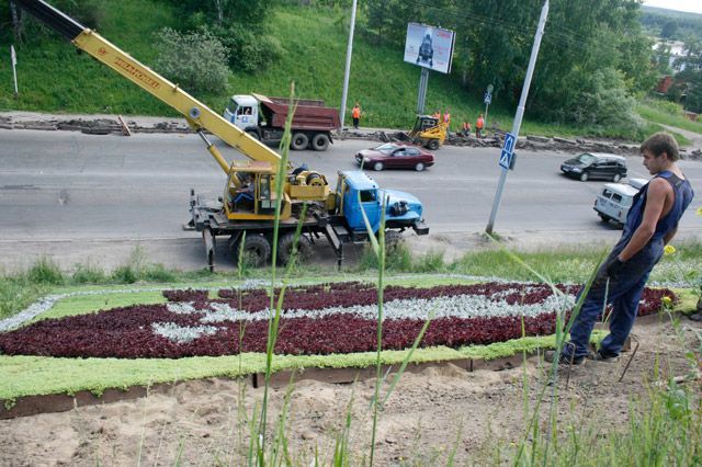 Городское благоустройство, Томские новости, цветы садить цветы саженцы герб На въезде в Томск установят традиционный цветочный герб