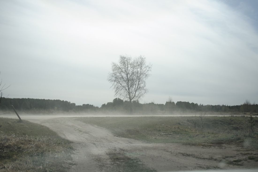 Погода и природа, Томские новости, погода гроза дождь прогноз град Завтра в Томскую область придут дожди и грозы