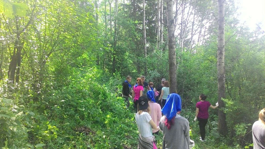 Природа, Томские новости, Экология, семилужки туризм уборка волонтеры экология экотропа В томских Семилужках оборудуют новую экотропу