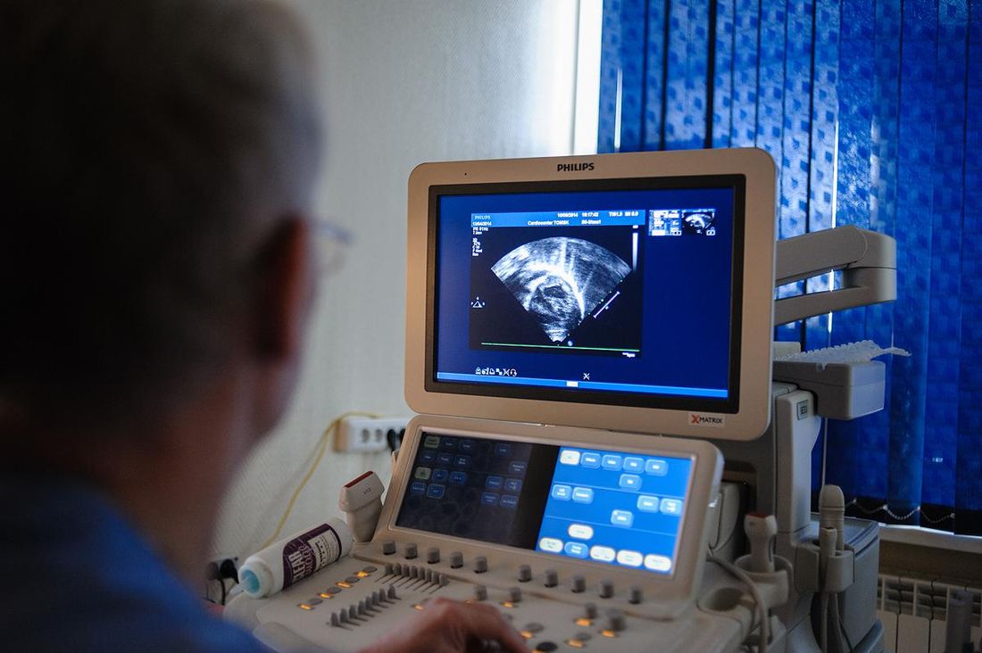 Медицина и здоровье, Томские новости, стволовые клетки сердце кардиологи инфаркт томск Томские ученые: влияние стволовых клеток на регенерацию сердца не подтвердилось