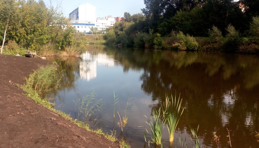 Томские новости, Экология, экология загрязнения озер грязное озеро бездействие властей Прокуратура уличила томские власти в игнорировании загрязнения водоемов