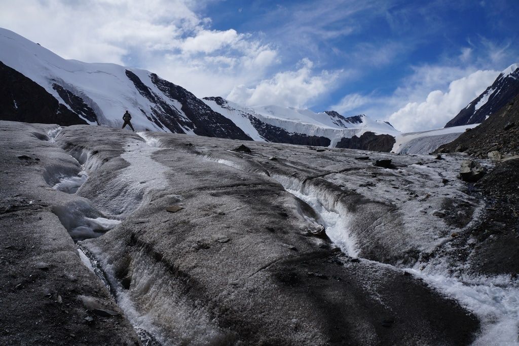 Образование и наука, ТГУ, Томские новости, Экология, Иностранные ученые будут реконструировать прошлое и изучать тихоходок на станциях ТГУ