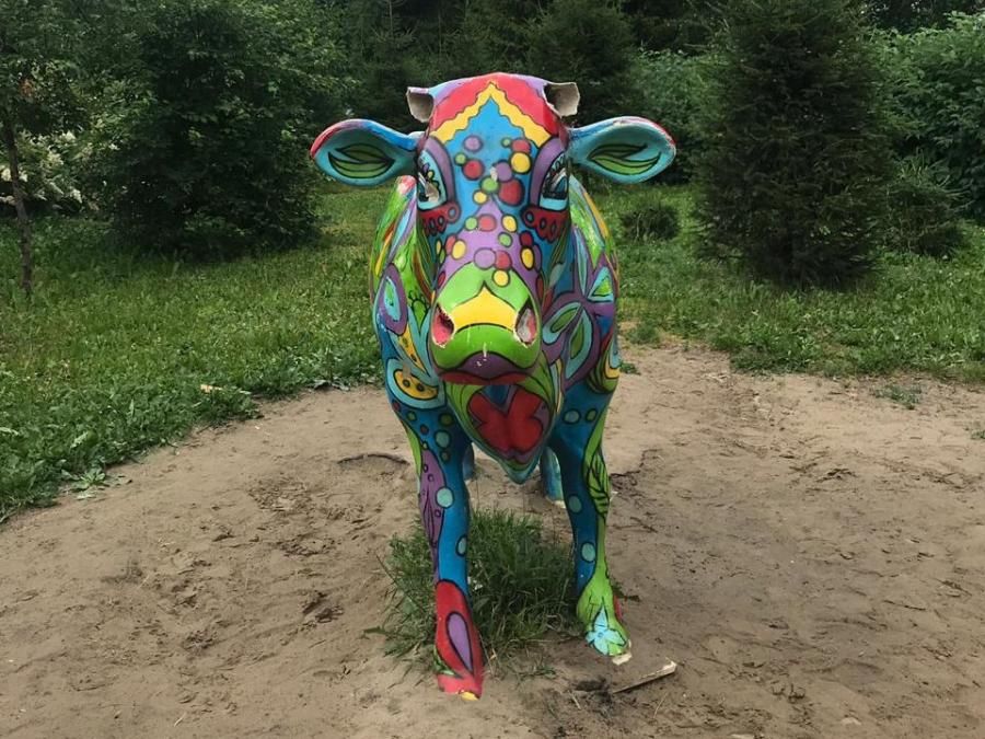 Деревенское молочко, Происшествия, Томские новости, Вандалы сломали скульптуру коровы в Томске