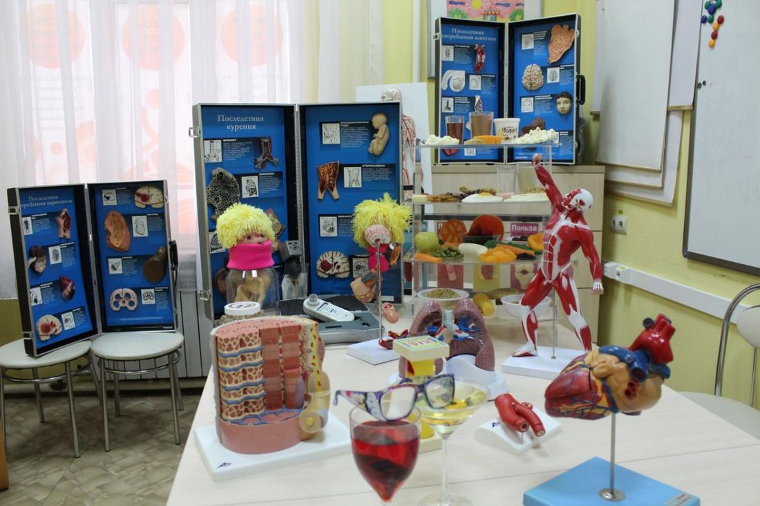 Дети в Томске и области, Медицина и здоровье, Томские новости, Мобильный музей здорового образа жизни Томск зож Мобильный музей здорового образа жизни работает в Томске