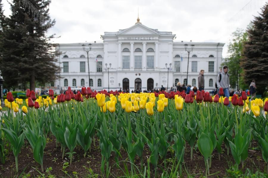 IT, Образование и наука, ТГУ, Томские новости, IT-программа трех томских вузов станет «пилотом» Большого университета