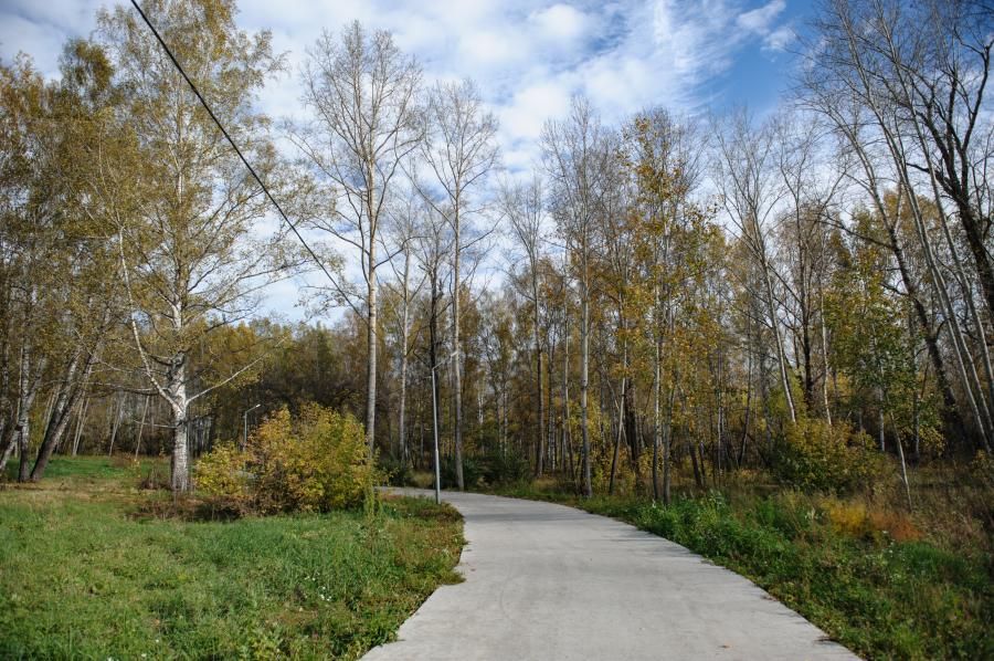 Краеведение, Томские новости, Горожан приглашают на экскурсию по паркам Томска