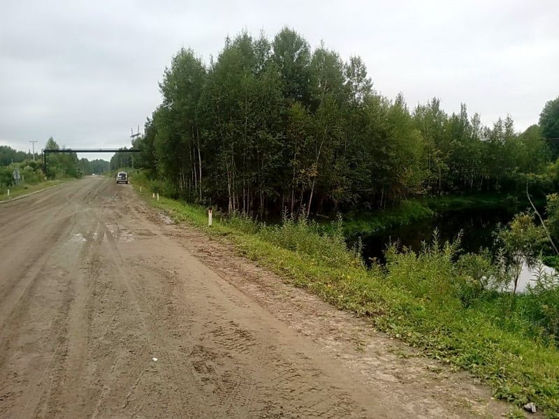 Происшествия, Томские новости, происшествие ДТП авария сводка Неопытный водитель утонул в Томской области