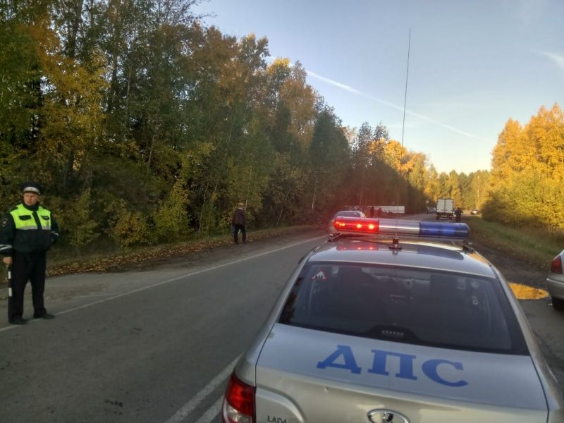 Происшествия, Томские новости, газель сбила попал под колеса сводка происшествий ДТП в Томской области «Газель» насмерть сбила пешехода на трассе под Томском