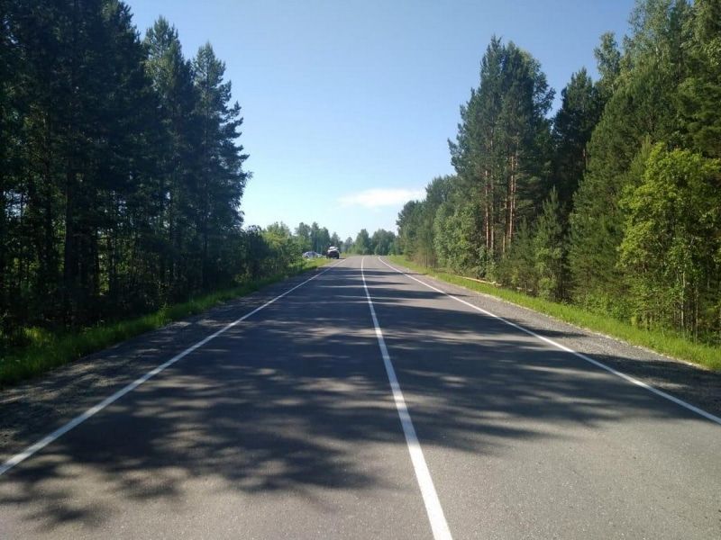 Происшествия, Томские новости, дерево врезались происшествия дорожная обстановка сводка происшествий Девушка без прав въехала в дерево у томского поселка