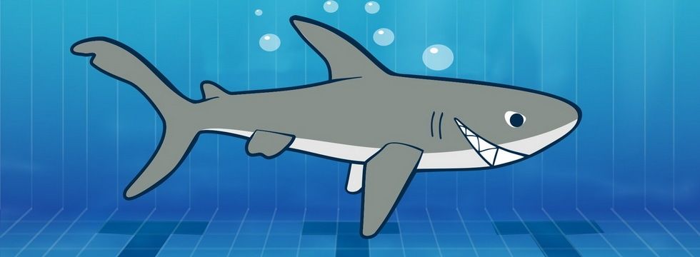 Спорт в Томске, Томские новости, талисман Первенство подводное плавание акулёнок Талисману Первенства России по подводному спорту, которое пройдет в Томске, дали имя Акулёнок