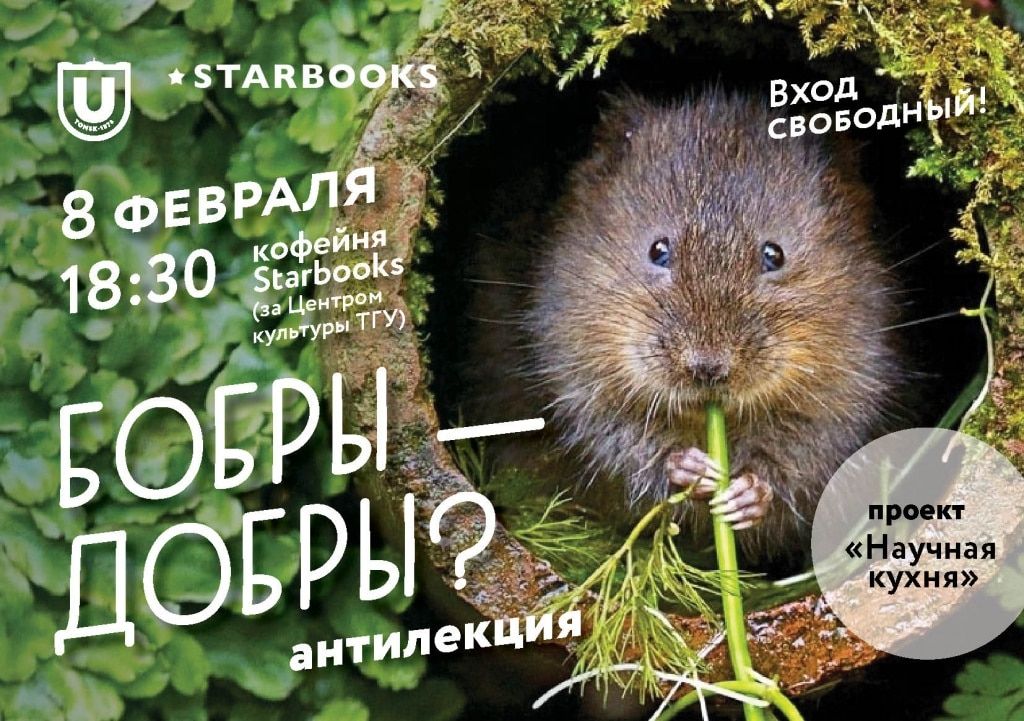 Образование и наука, ТГУ, Томские новости, лекции кафе день науки образование учеба в Томске ТГУ В ТГУ откроют «Научную кухню» с антилекциями