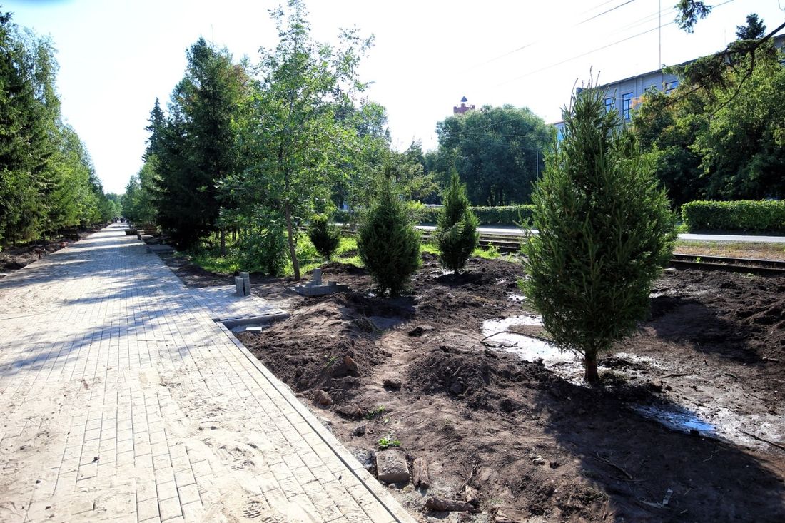 Городское благоустройство, Зелень в городе, Томские новости, контракт бульвар кирова благоустройство превышен сроки Подрядчик выплатит неустойку за превышения сроков благоустройства бульвара Кирова в Томске